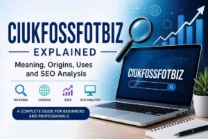 Ciukfossfotbiz Explained: A Complete Guide