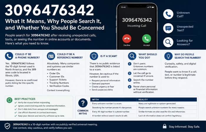understanding 3096476342